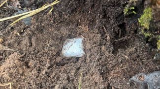 Фото ГУВД Мингорисполкома