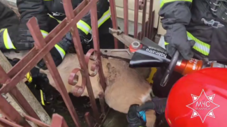 Скриншот видео МЧС