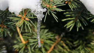 Фото из архива