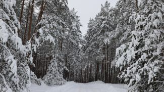 Фото из архива