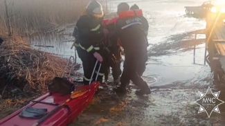 Скриншот видео МЧС Скриншот видео МЧС