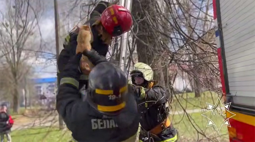 Скриншот видео МЧС