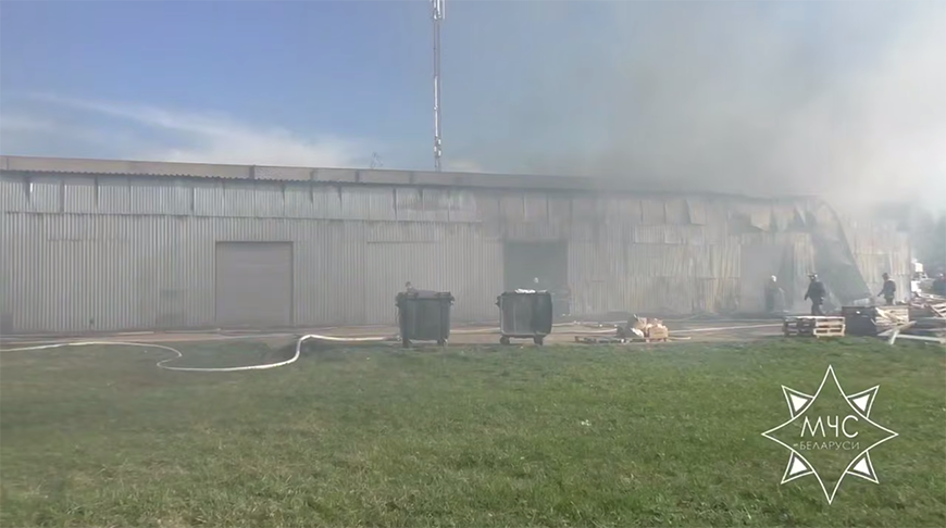 Скриншот видео