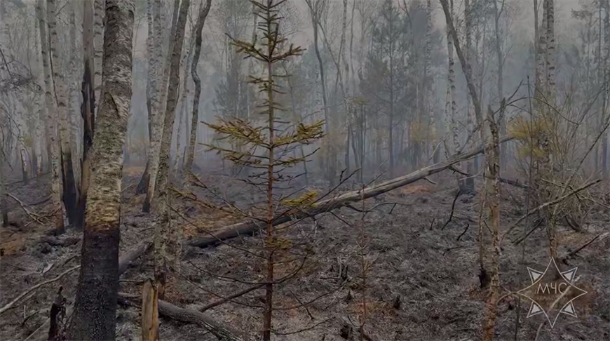 Скриншот видео МЧС