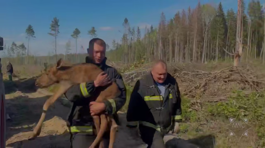 Скриншот видео МЧС