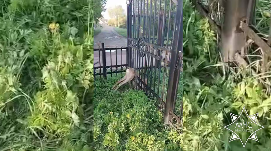 Скриншот видео МЧС