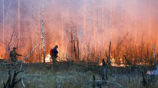 Фото из архива