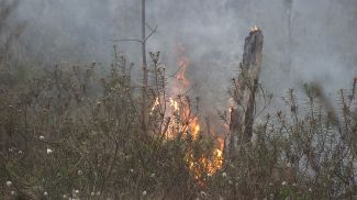 Фото из архива