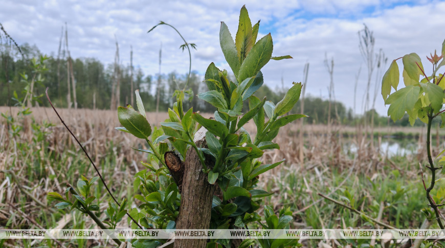 Фото из архива