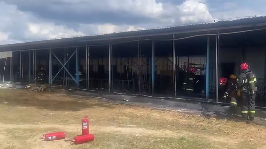 Скриншот видео МЧС