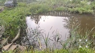 Скриншот видео