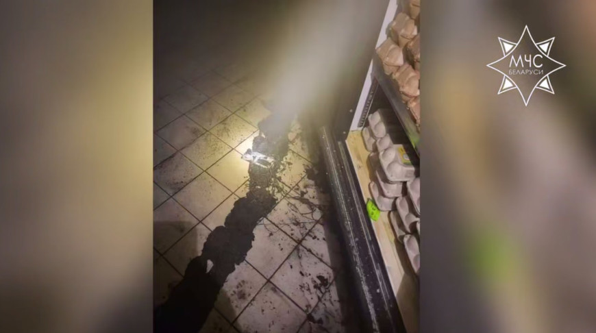 Скриншот видео МЧС