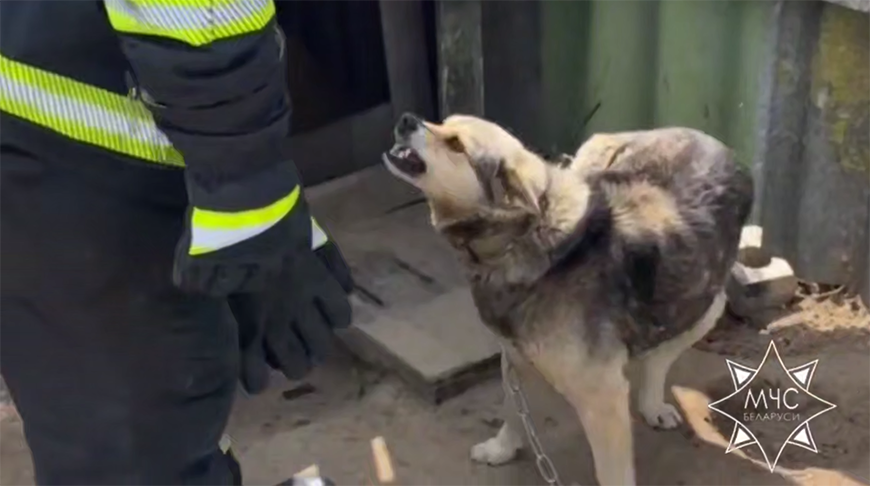 Скриншот видео МЧС