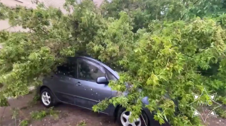 Скриншот видео МЧС