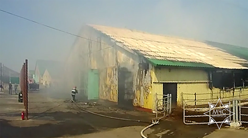 Скриншот видео МЧС