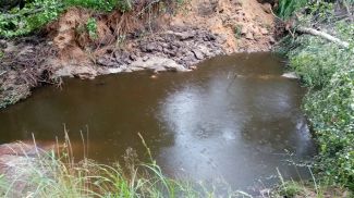 Фото УМЧС по Могилевской области