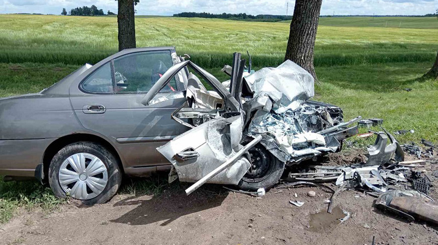 Фото УСК по Витебской области