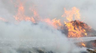 Фото из архива