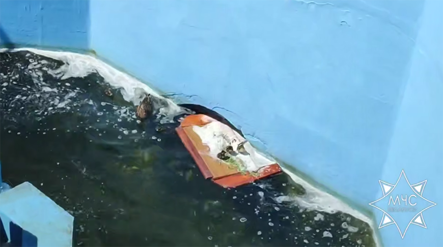 Скриншот видео МЧС