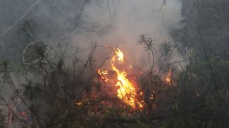 Фото из архива