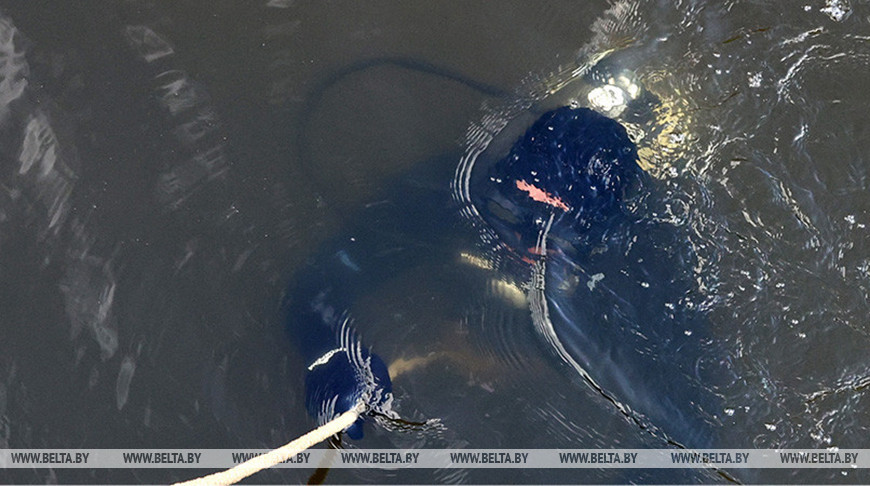 Фото из архива