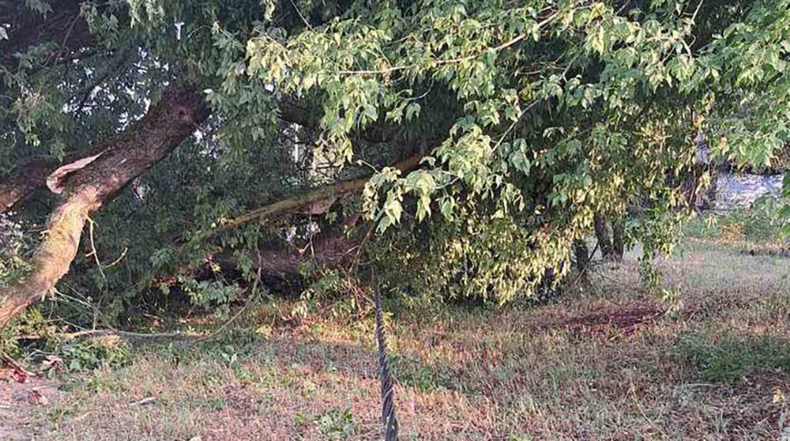 Фото РУП "Брестэнерго"