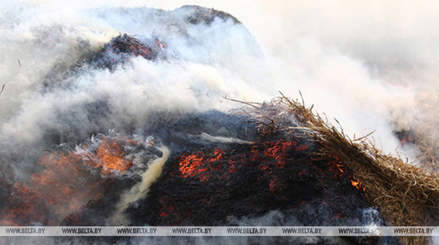 Фото из архива