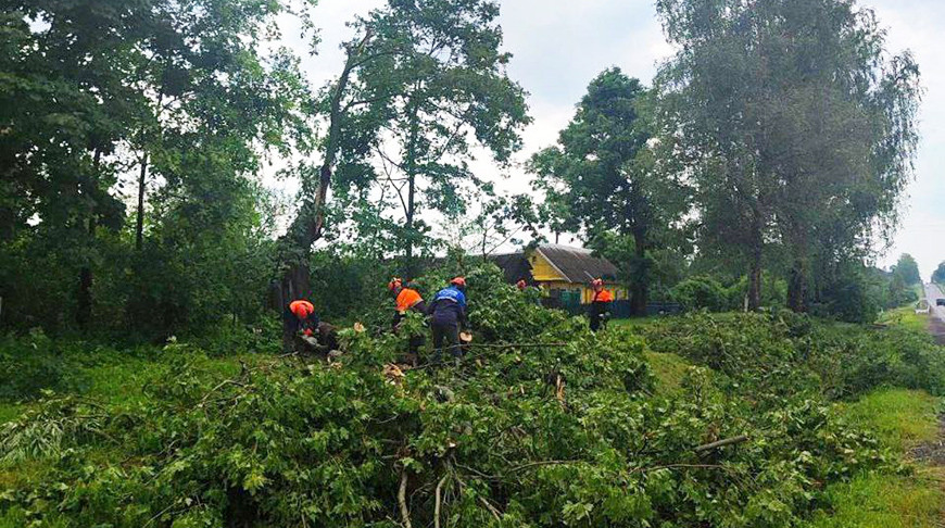 Фото Министерства энергетики