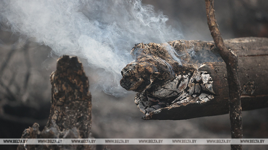 Фото из архива