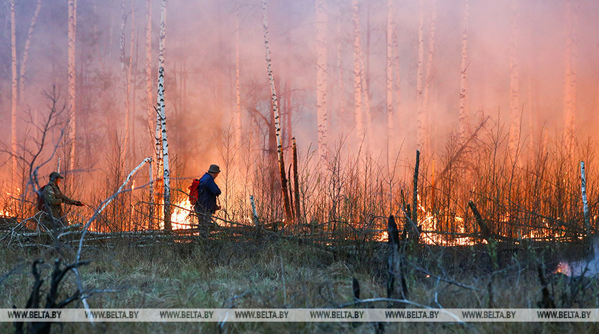 Фото из архива