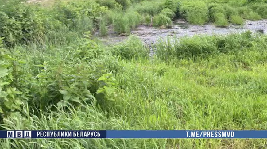 Скриншот видео МВД