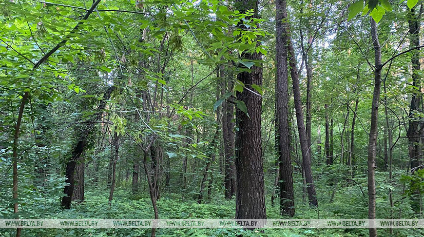 Фото из архива