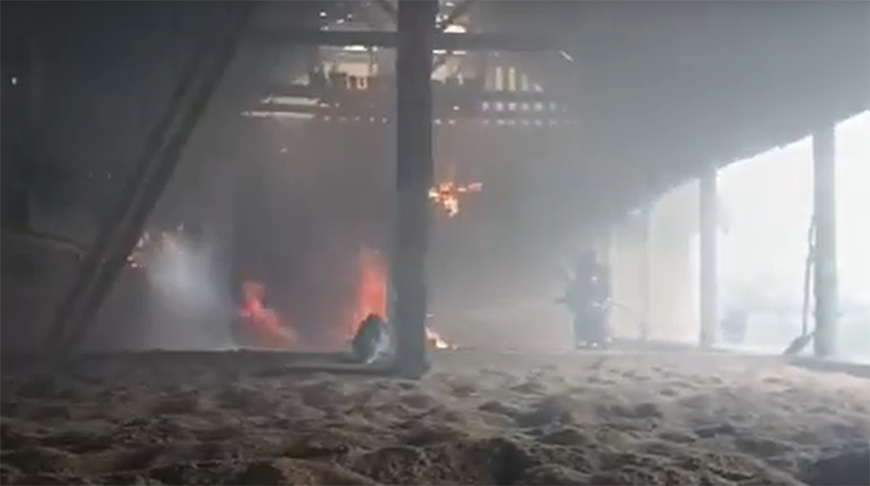 Скриншот видео МЧС