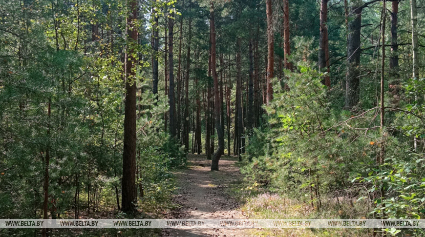 Фото из архива