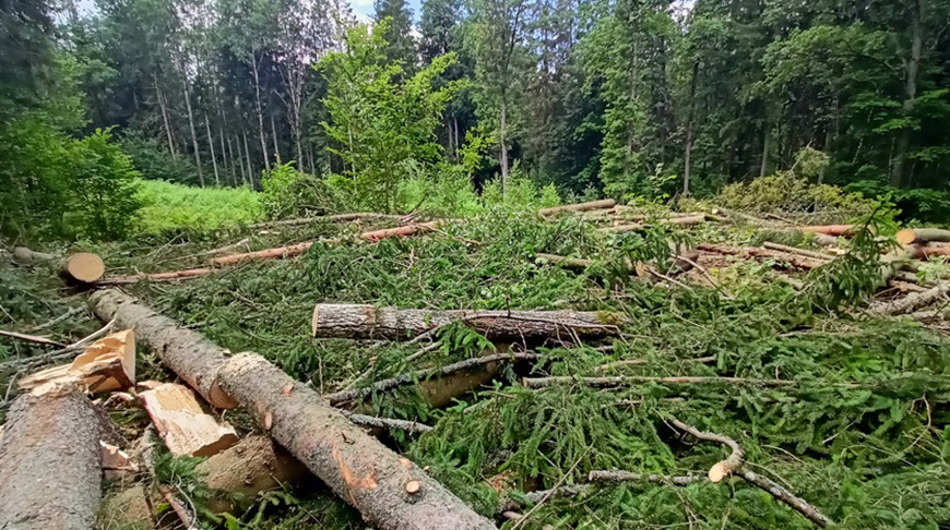 Фото УСК по Брестской области