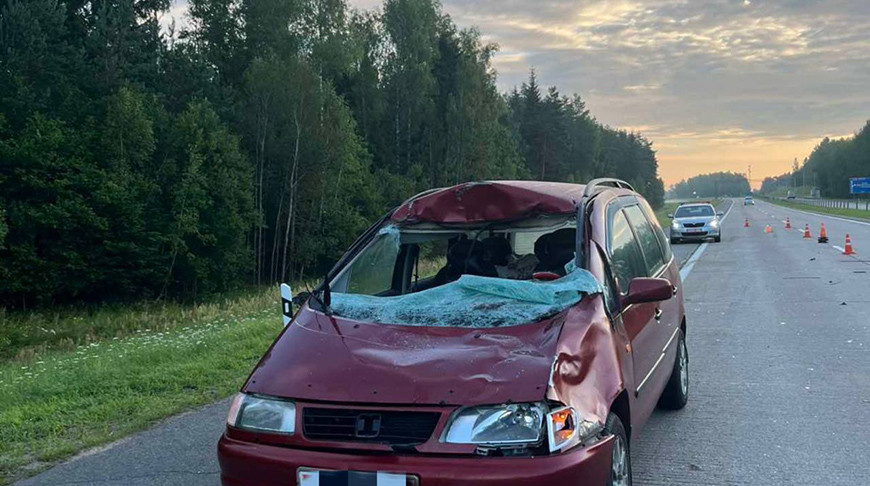 Фото УВД Миноблисполкома