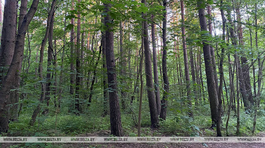 Фото из архива