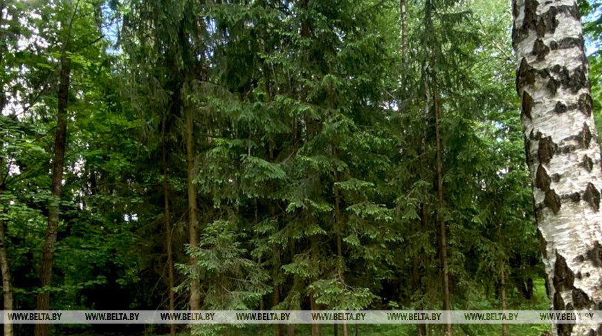 Фото из архива