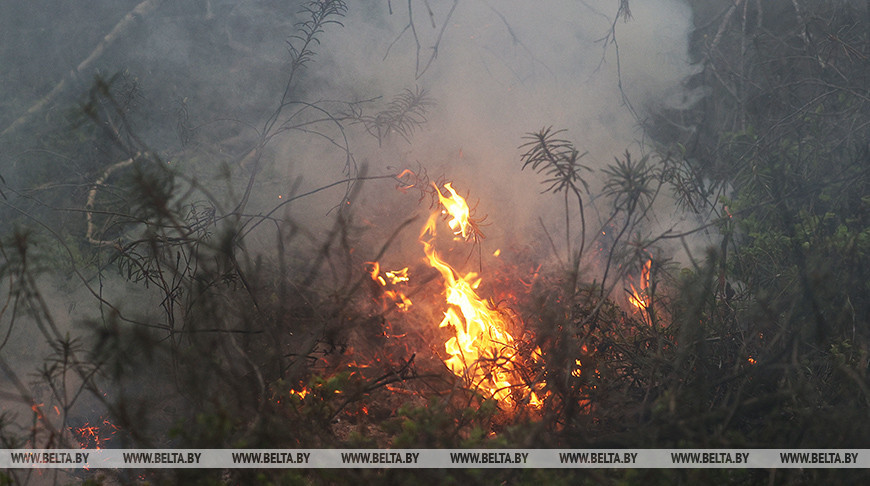 Фото из архива
