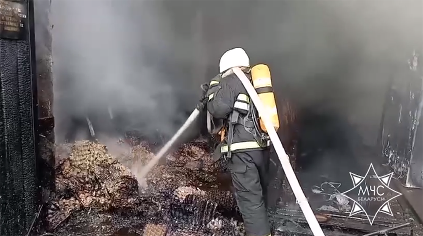 Скриншот видео МЧС