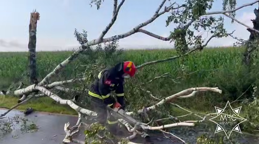 Скриншот видео МЧС