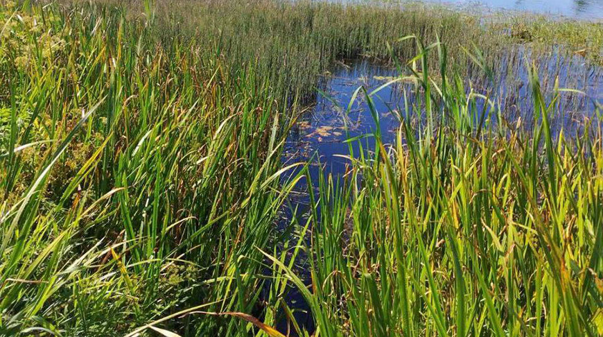 Фото ОСВОДа