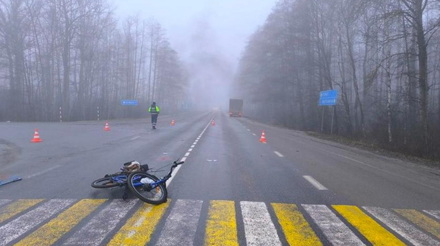 Фото УСК по Гомельской области