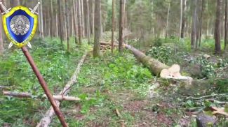 Скриншот видео СК