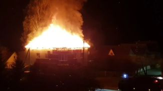 Скриншот видео МЧС