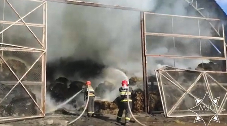 Скриншот видео МЧС