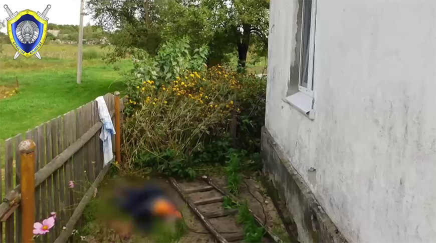 Скриншот видео СК