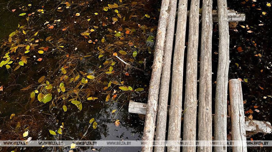 Фото из архива