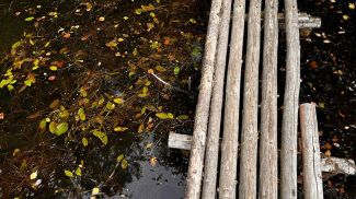 Фото из архива