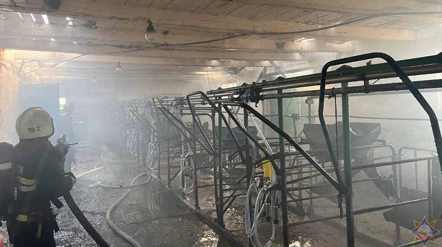 Фото Гомельского областного управления МЧС